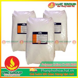polymer-cation-pphcvm