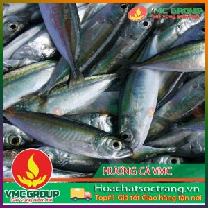 huong-ca-vmc5