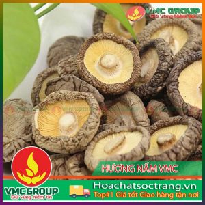 huong-nam-vmc1