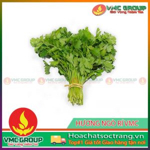 huong-ngo-ri-vmc1