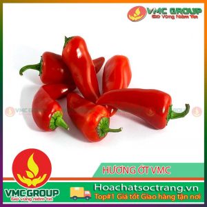 huong-ot-vmcst