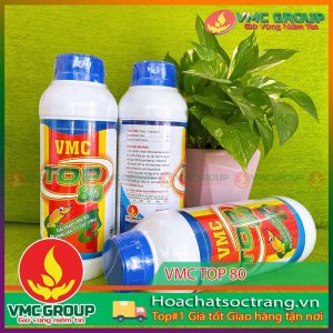 vmc-top-80